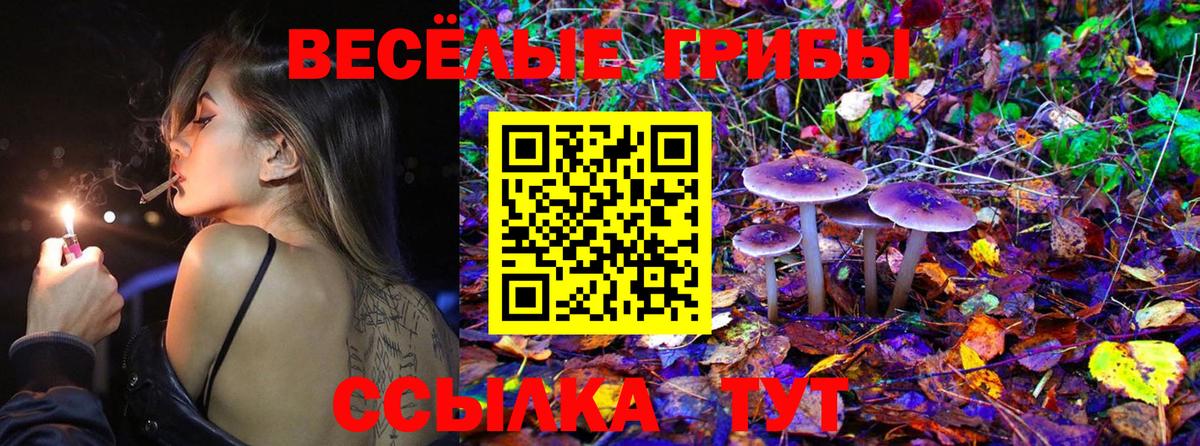 Псилоцибиновые грибы Magic Shrooms Калининград
